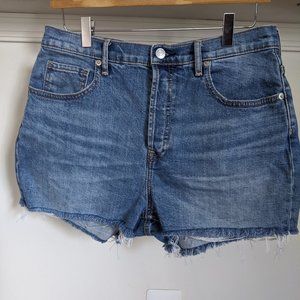 Everlane Cheeky Denim Short Sz 30